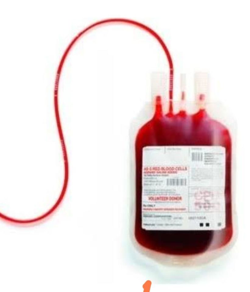 Tekli Kan Torbası  450 ml- 5 li Paket